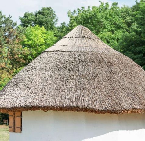 what-are-thatched-roofs