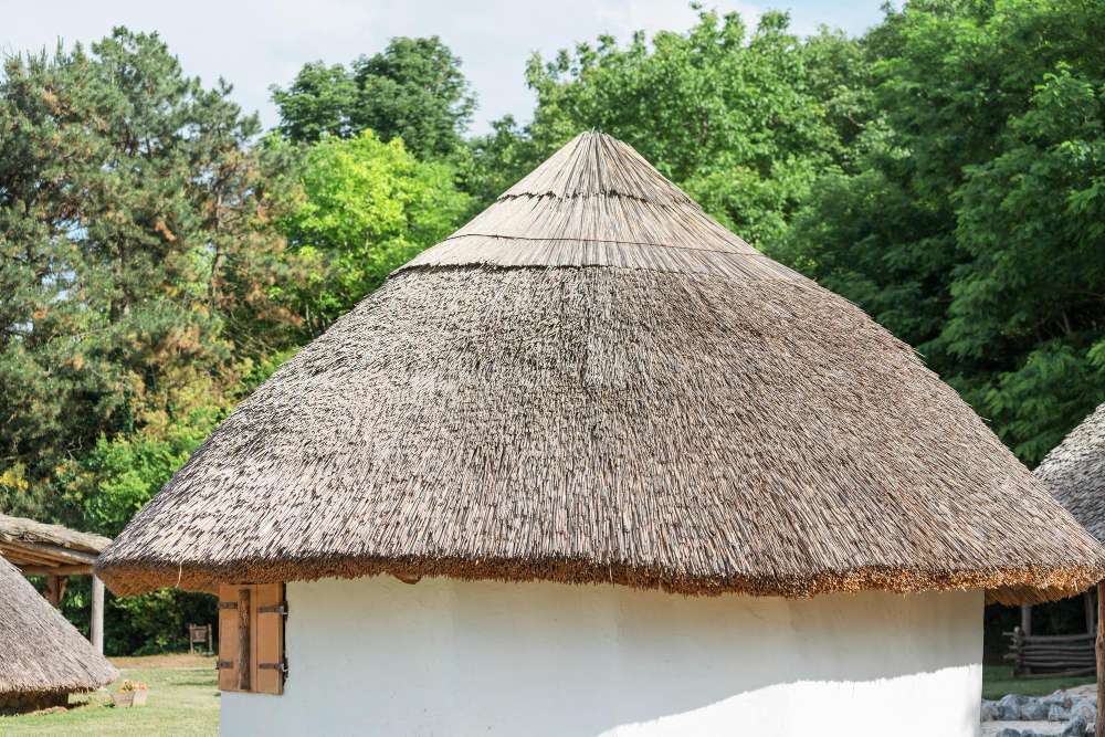 what-are-thatched-roofs