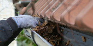 Guttering Services in Bexley