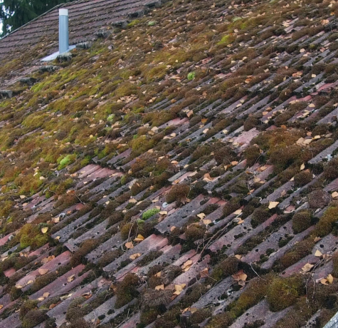 Roof Moss Removal Bexley