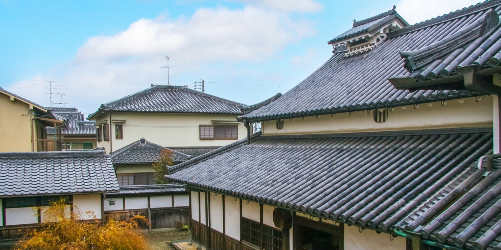 Tiled Conservatory Roof Services in Bexley